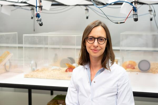 Dr. Sanja Bauer Mikulovic von LIN