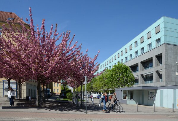 Unimedizin_Allee im Fr&uuml;hling